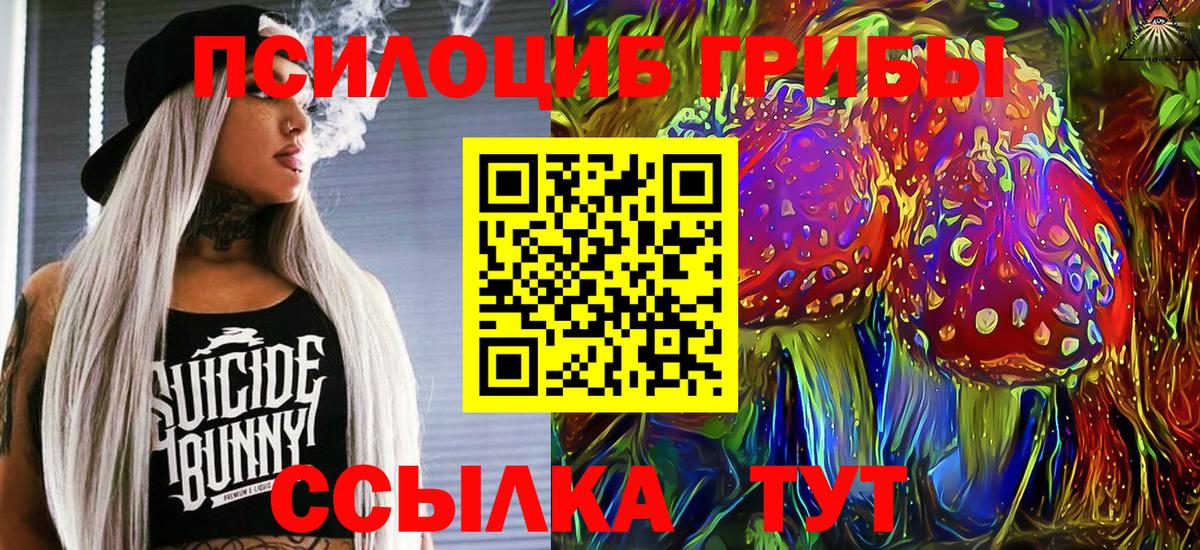 Псилоцибиновые грибы Psilocybine cubensis Батайск