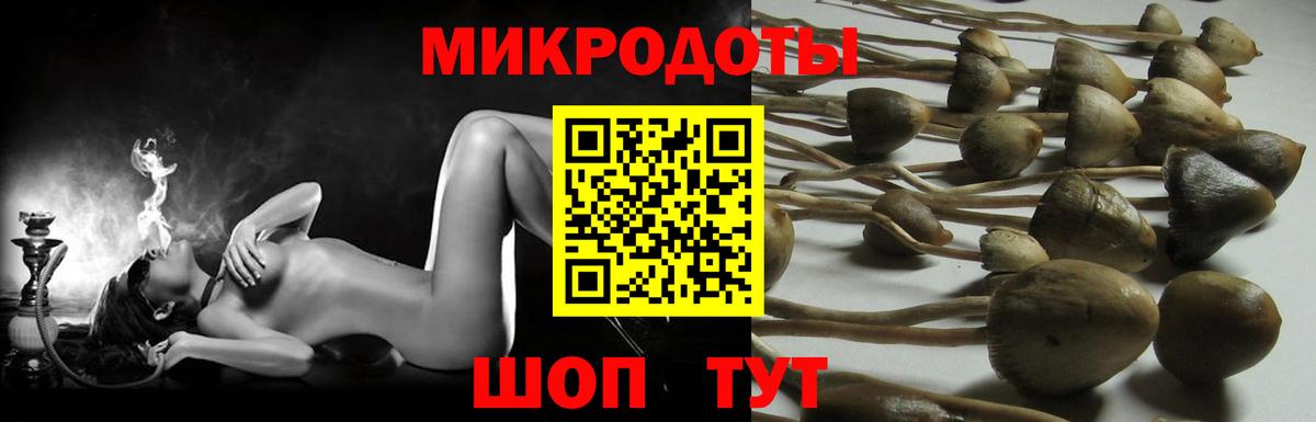 Псилоцибиновые грибы Psilocybe  Вход с VPN  где найти   Батайск 